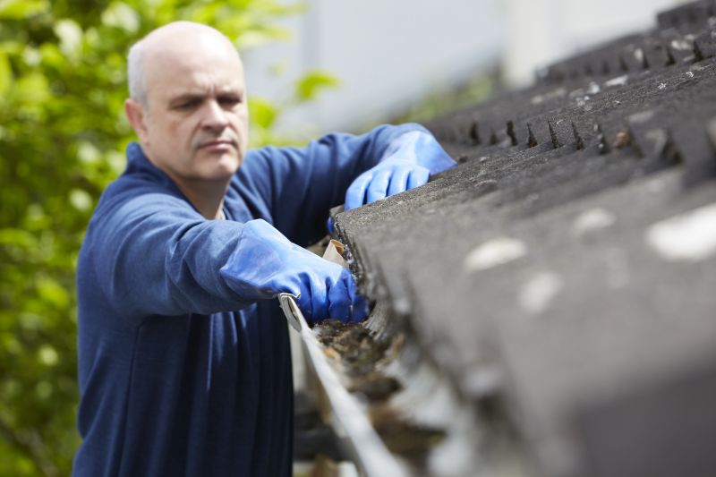 Gutter Maintenance Experts