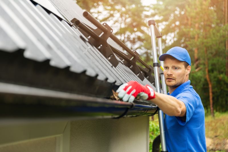 Gutter Cover Cleaning