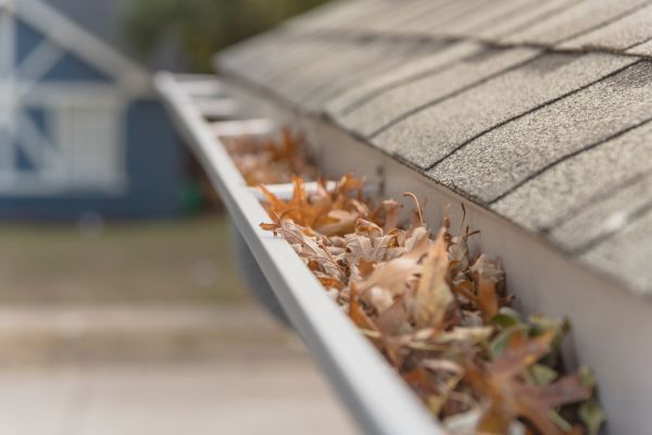 Leaf Barrier Installation in Jonesboro